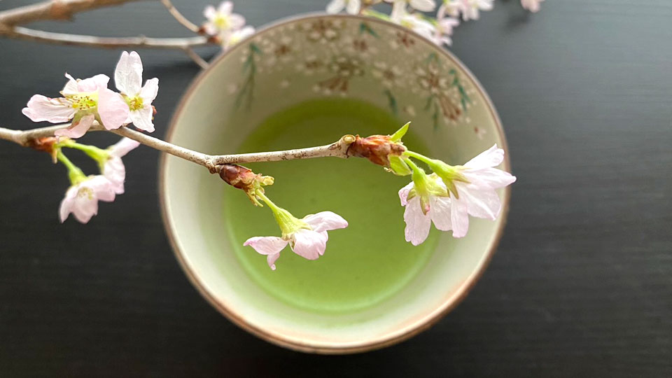 茶道プレミアム体験